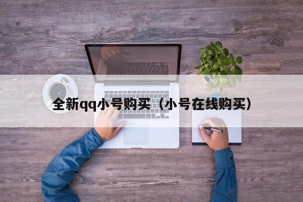 全新qq小号购买（小号在线购买）