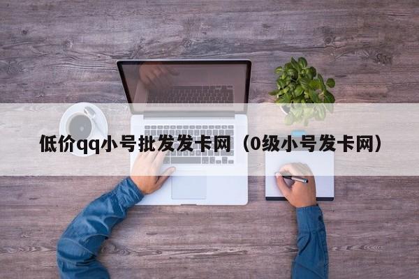 低价qq小号批发发卡网（0级小号发卡网）