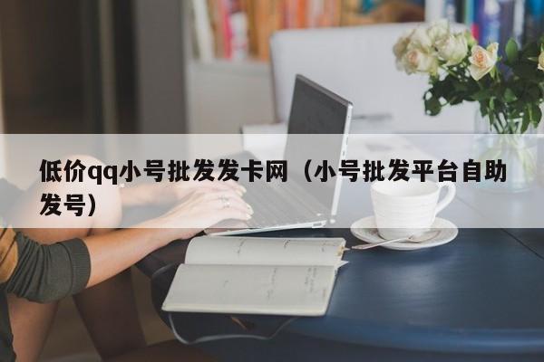 低价qq小号批发发卡网（小号批发平台自助发号）