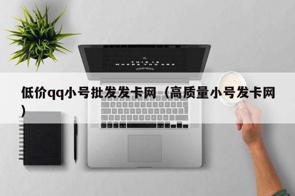 低价qq小号批发发卡网（高质量小号发卡网）