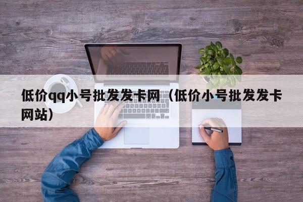 低价qq小号批发发卡网（低价小号批发发卡网站）