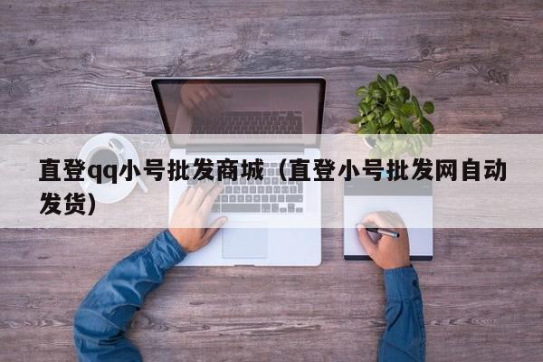直登qq小号批发商城（直登小号批发网自动发货）