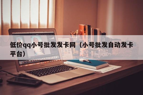 低价qq小号批发发卡网（小号批发自动发卡平台）