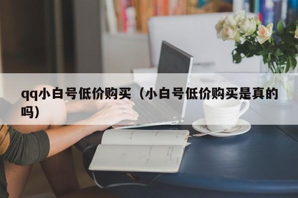 qq小白号低价购买（小白号低价购买是真的吗）