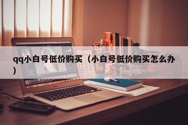 qq小白号低价购买（小白号低价购买怎么办）