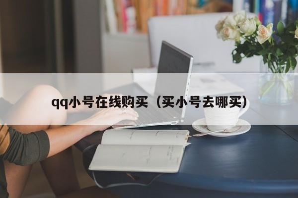 qq小号在线购买（买小号去哪买）