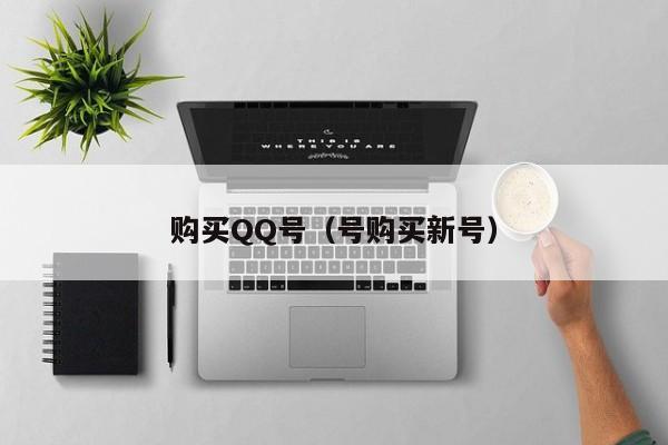 购买QQ号（号购买新号）