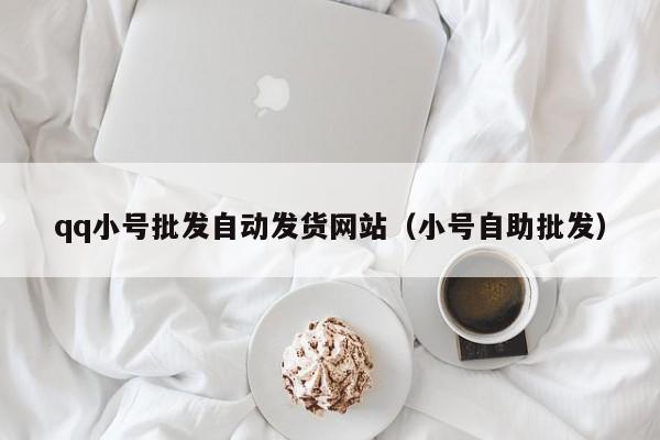 qq小号批发自动发货网站（小号自助批发）