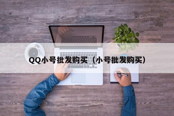 QQ小号批发购买（小号批发购买）
