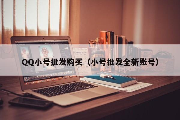 QQ小号批发购买（小号批发全新账号）