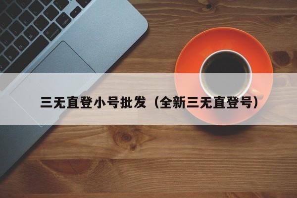 三无直登小号批发（全新三无直登号）