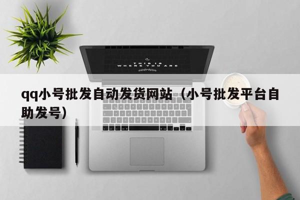 qq小号批发自动发货网站（小号批发平台自助发号）