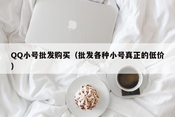 QQ小号批发购买（批发各种小号真正的低价）